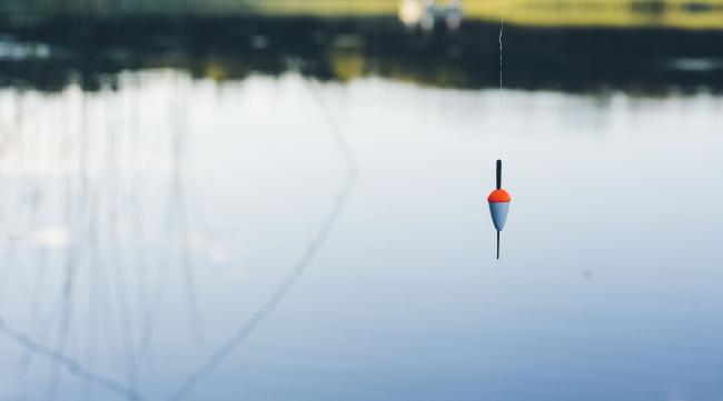 关于钓鱼的优美句子