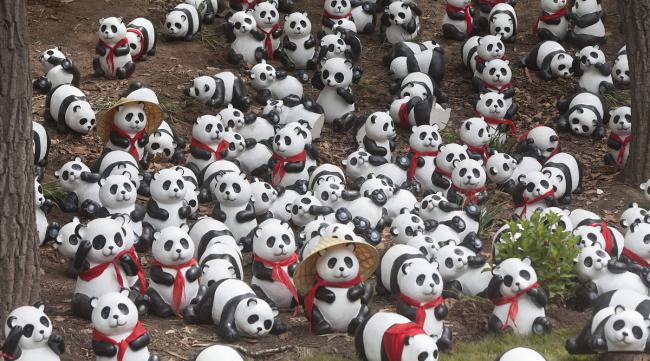 多多自走棋熊猫人怎么出