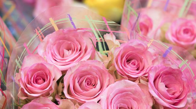 粉色玫瑰花加小熊的花语是什么呢