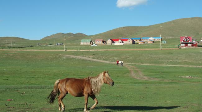 如果去内蒙古骑马去哪个地方好