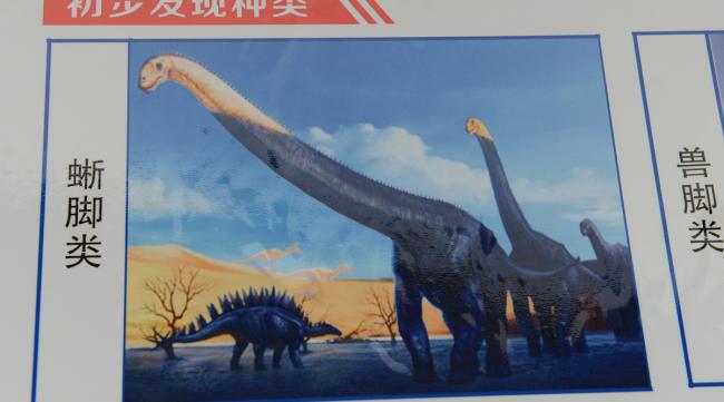 中华恐龙的知识介绍