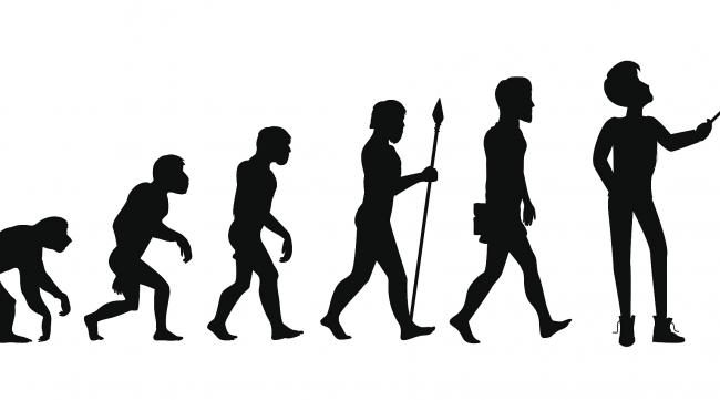 人类从类人猿进化过程图片
