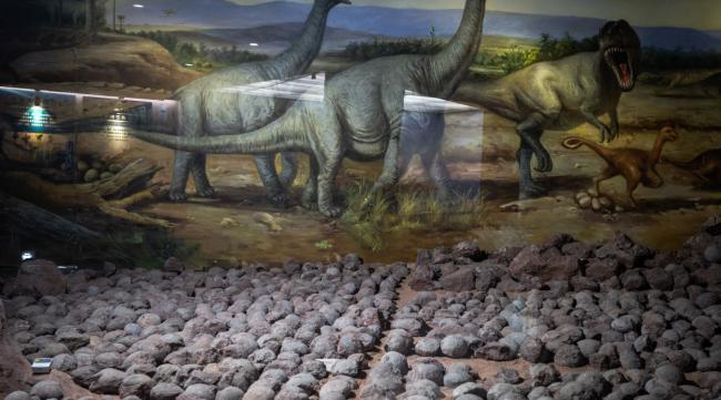 恐龙时代有哪三个世纪