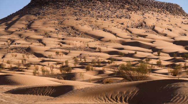 库木塔格沙漠的特点是什么