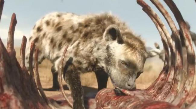 人类碰见非洲鬣狗该怎么办呢