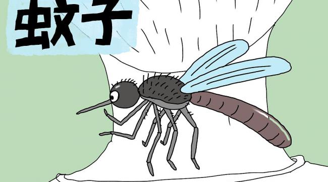 蚊子喜欢什么声音