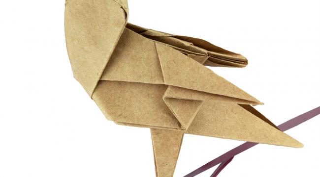 鸵鸟折纸该怎么折呢