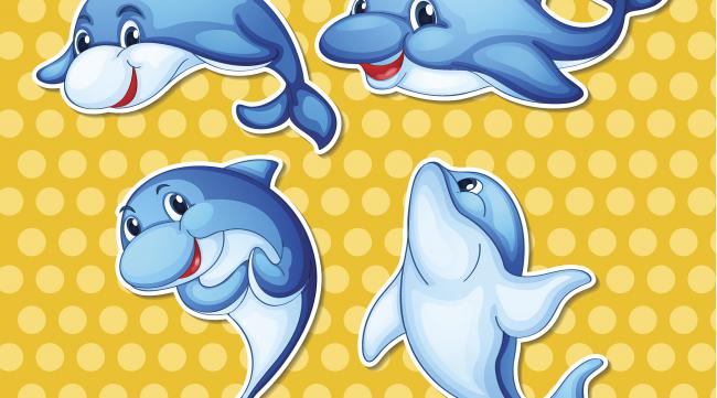 四只海豚的动画片叫什么