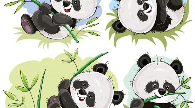 寻找一个关于熊猫的游戏名字