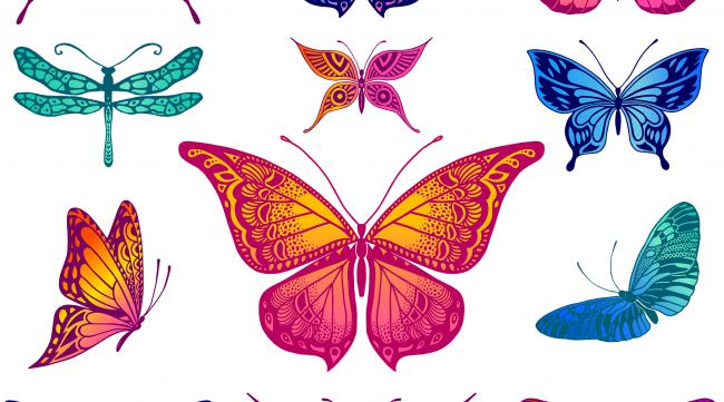 画一个漂亮的蝴蝶怎么画