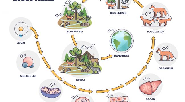 12种生态循环农业养殖模式