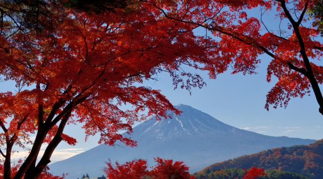 日本哪里的红叶最好看