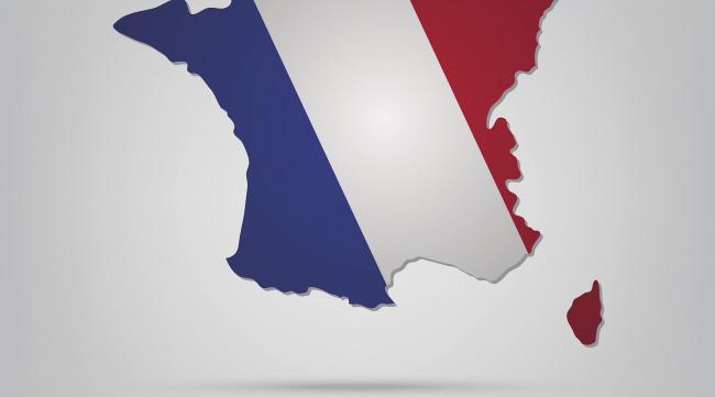 为什么法国走的是大陆法系呢
