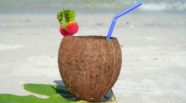 荒岛求生 椰子瓶怎么做