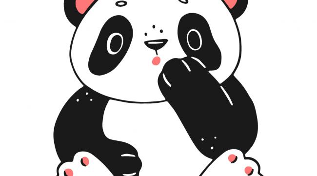 三年级画可爱的小熊猫