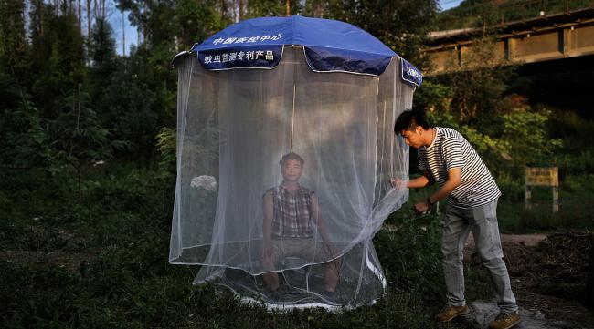 中国边境蚊子最多的地区
