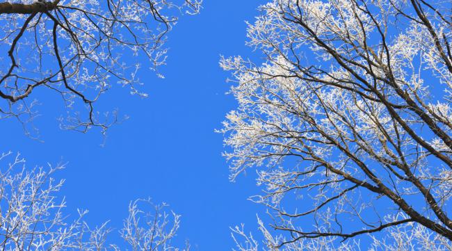 初冬蓝天优美的诗句是什么