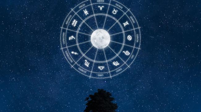 天琴星座上面是什么字