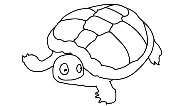 乌龟怎么写笔画