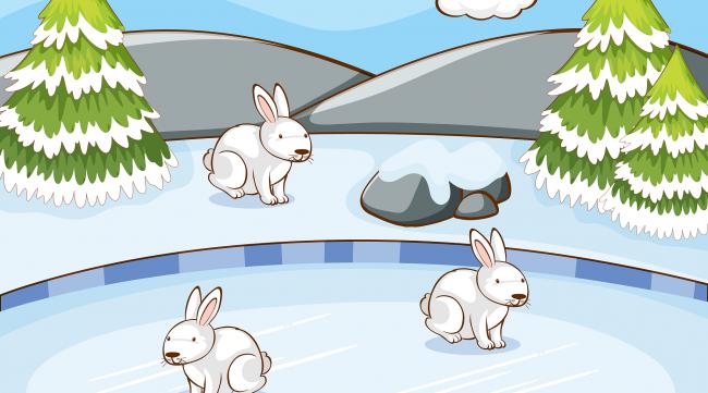 小兔子堆雪人的故事简短版