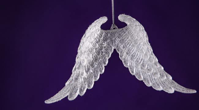 翅膀最多的天使