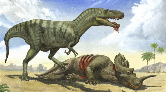 恐龙的繁殖和寿命