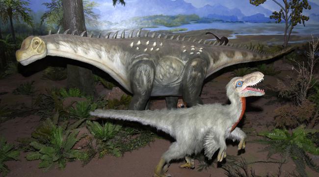 恐龙如何繁殖后代