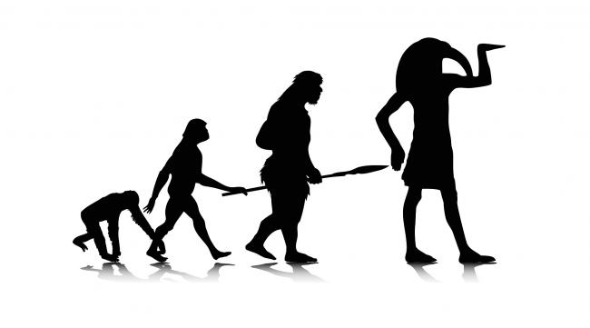 现在的猴子还能进化成人吗