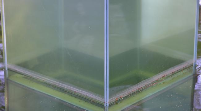 玻璃鱼缸的制作方法