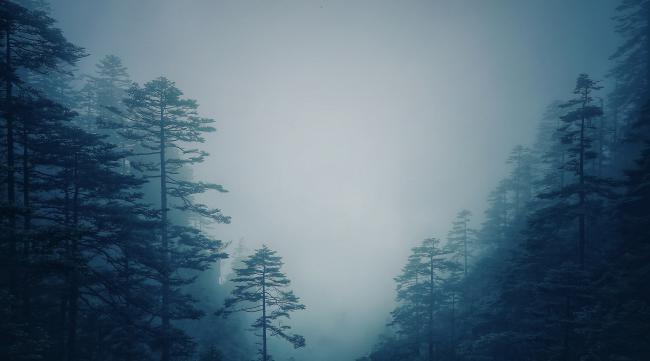 荒野之息迷失森林怎么解除迷雾