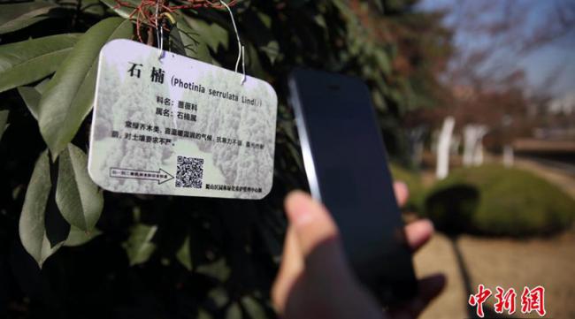 安徽省身份证网上补领流程图