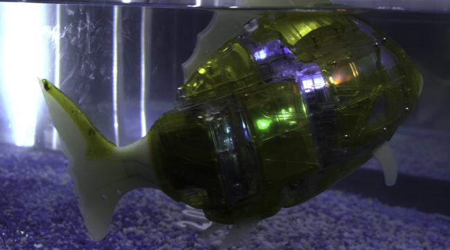 深海迷航海蛾号怎么更换电池