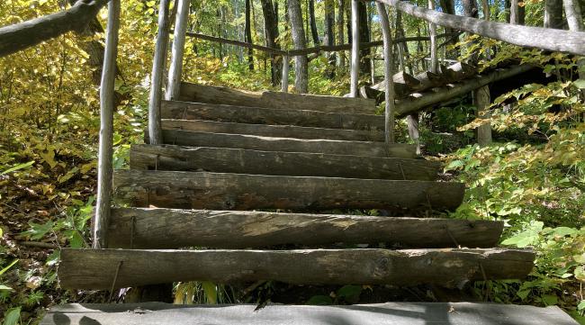 森林之子怎么搭楼梯