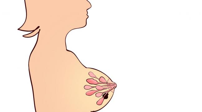 母乳喂养如何让胸部不下垂呢
