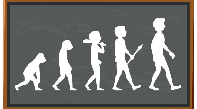 人的起源与进化作文