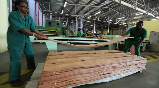 绿洲木业生产的板材是几线品牌的