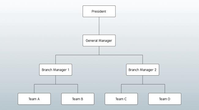 公司职位结构图怎么做表格