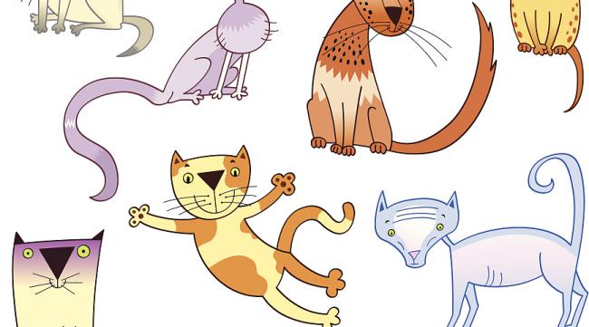 猫是什么进化的猫