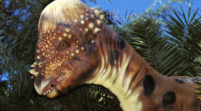 10种最吓人的远古生物图片