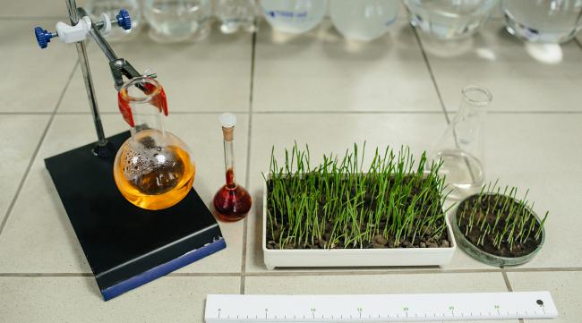 光合作用植物和蜡烛的实验原理