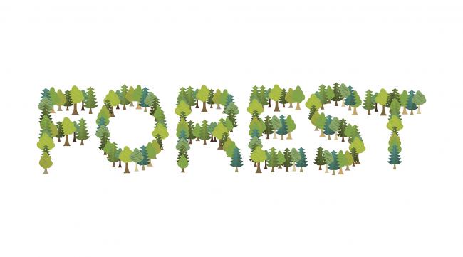 森林字体设计