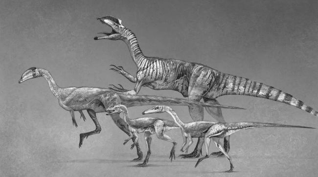恐龙自由繁殖方式是什么