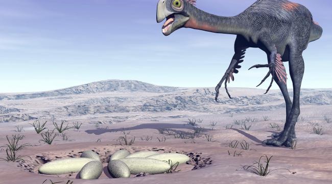 恐龙大量繁殖的时代