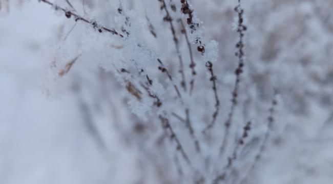 小米手机怎么拍出好看的雪景照