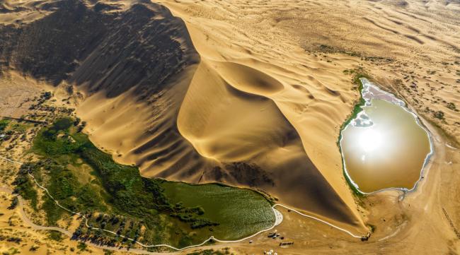 中国沙漠变绿洲三大奇迹的是