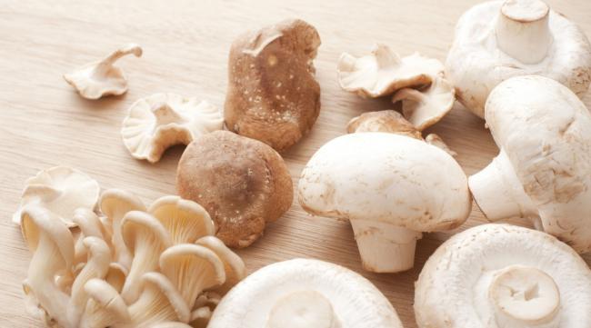 伞包菇如何吃能长期保存吗