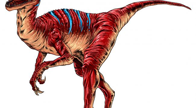典型的侏罗纪恐龙说明什么道理
