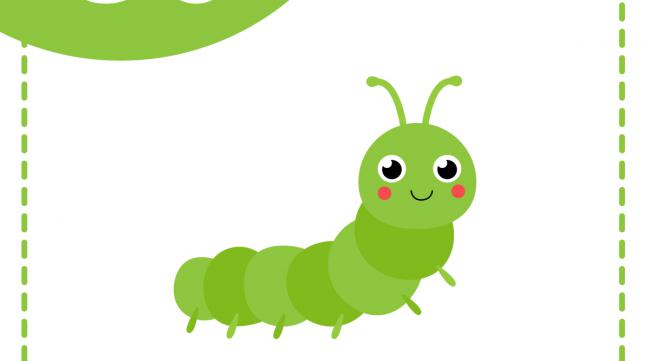 虫子用英语怎么说呢