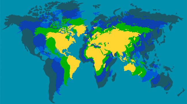 世界森林分布在哪里