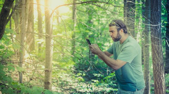 迷失森林手机版怎么安装地图